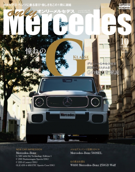 only Mercedes2510 001 page 0001